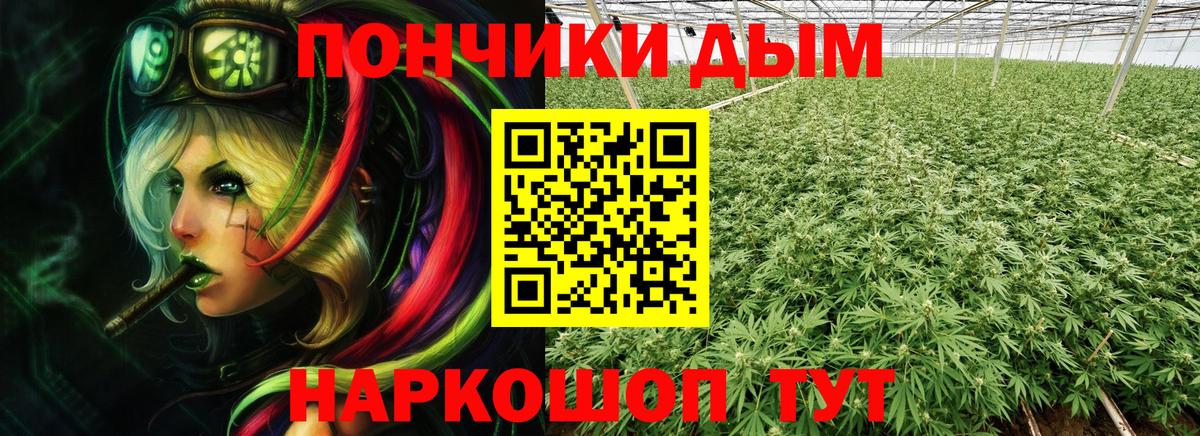 Конопля THC 21% Сарапул